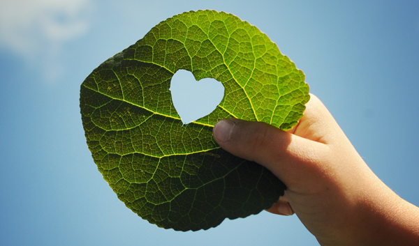 Hand hält ein Blatt mit Herz-Ausschnitt vor blauem Himmel, Symbol für Liebe zu Ökostrom und nachhaltiger Energie.